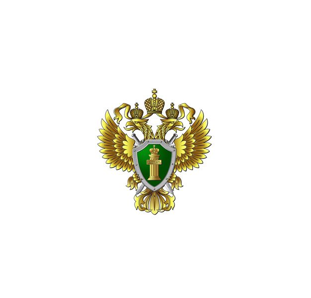 Созданы правовые и организационные формы для обеспечения культурной самобытности всех народов и этнических общностей Российской Федерации.