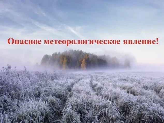 РСЧС: Опасное агрометеорологическое явление - заморозки до минус 2 градусов  ожидается местами в ночное время на территории Белгородской области 11 мая 2025 г..