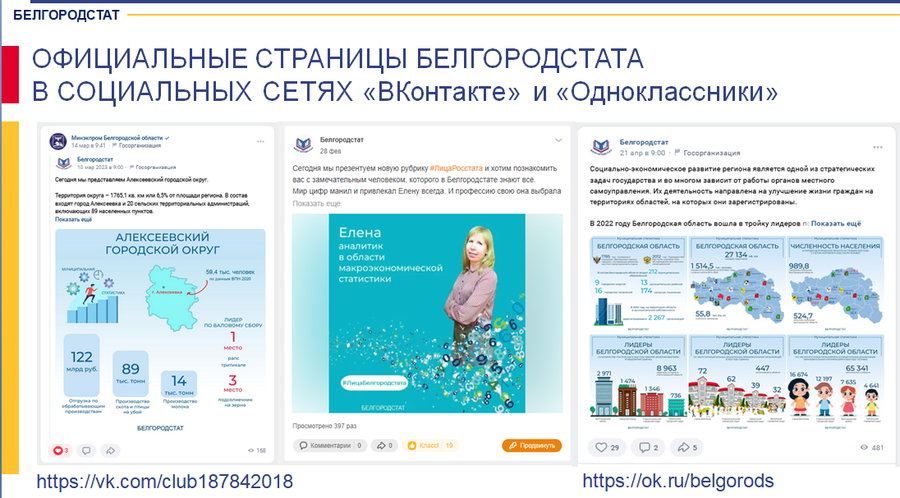 Вопросы совершенствования статистической информации  на территории Белгородской области.